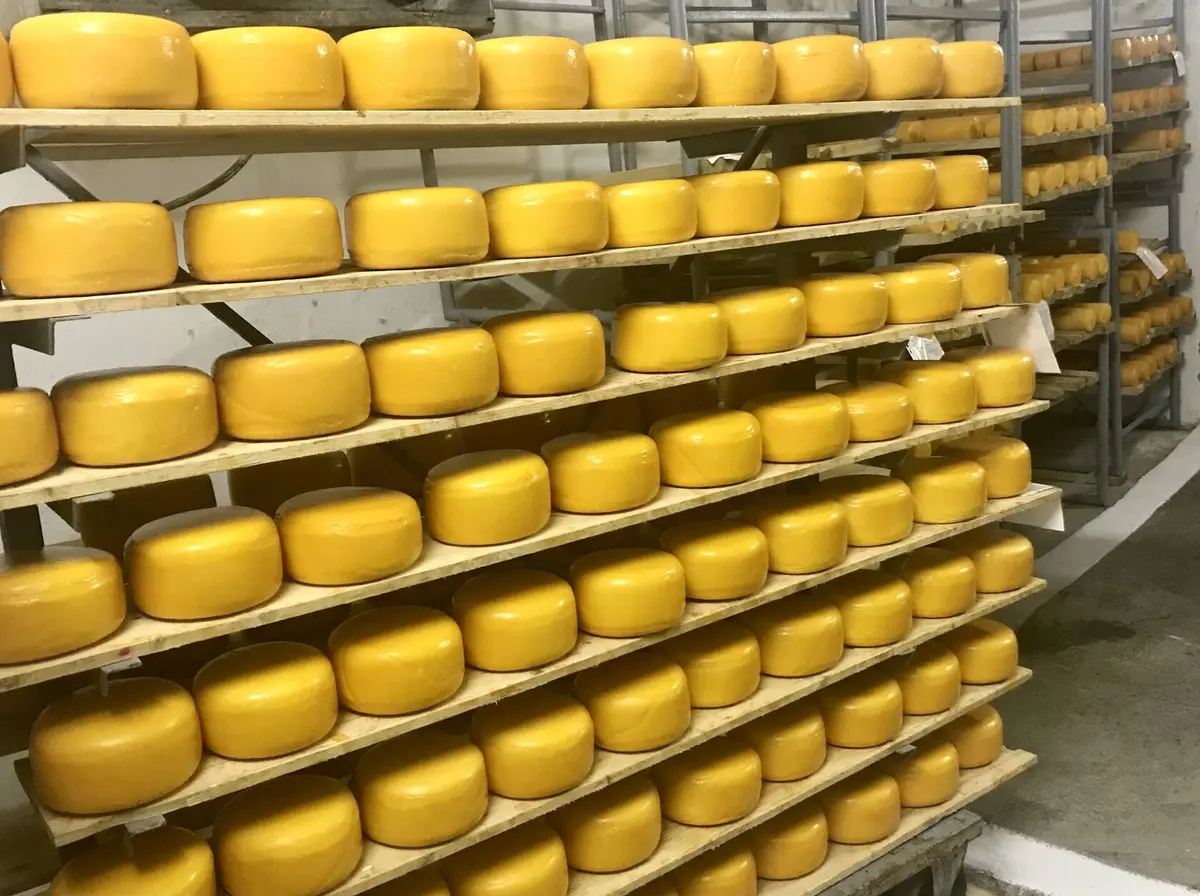 Работник на склад молочной продукции Пено Жвайгждес — фото 4
