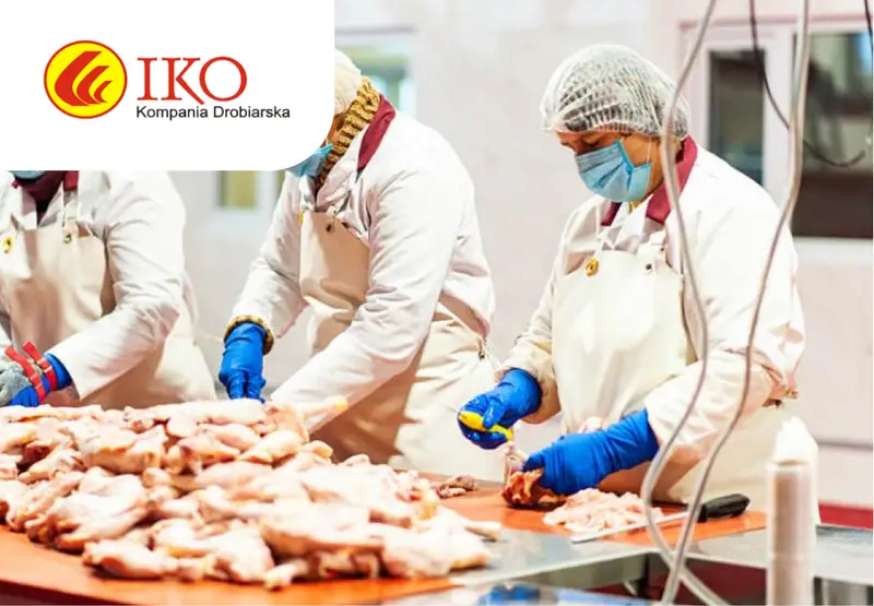 Производство куриной продукции IKO