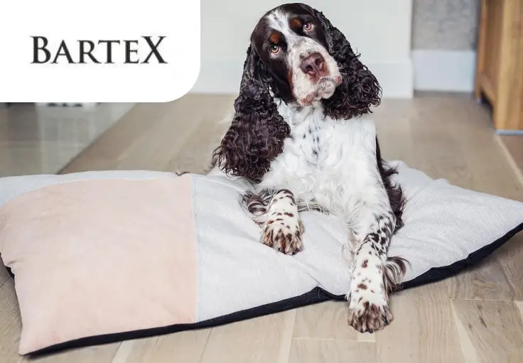 Работник Bartex (набивка лежанок)