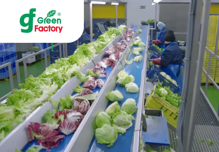 Працівник виробництва Green Factory