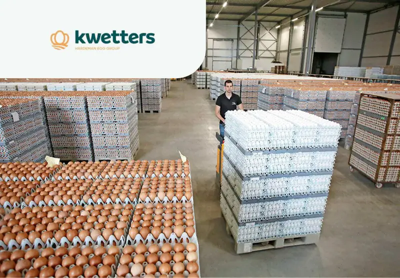 Упаковка яиц Kwetters Logistiek