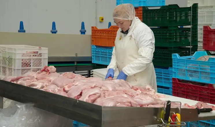 Работник мясного предприятия (гусиная и индюшиная продукция) — фото 1