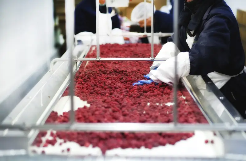 Переработка фруктов и овощей Field of fruit and vegetable