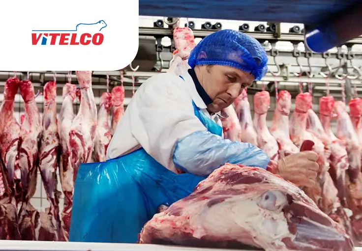 Производство продуктов из телятины Vitelco — фото 1