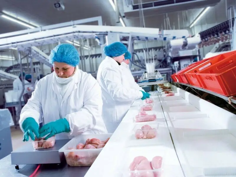 Упаковка и контроль качества куриной продукции