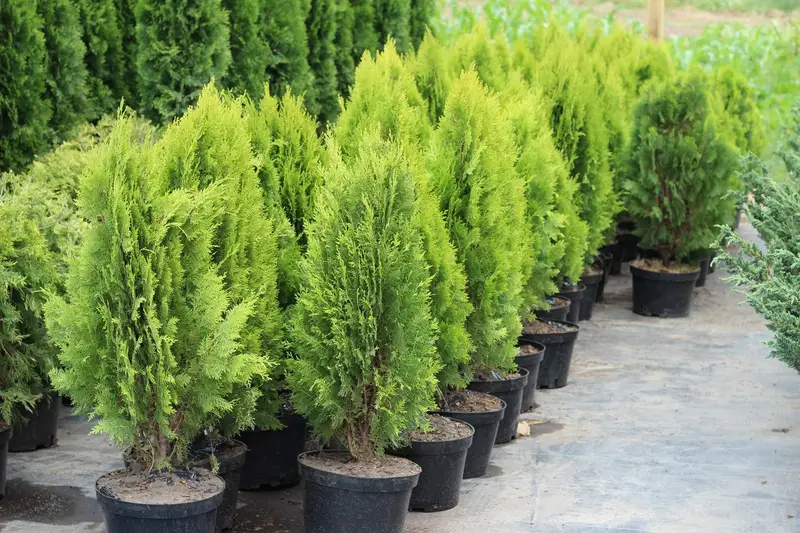 Изготовление украшений из искусственных цветов NATURE GREEN